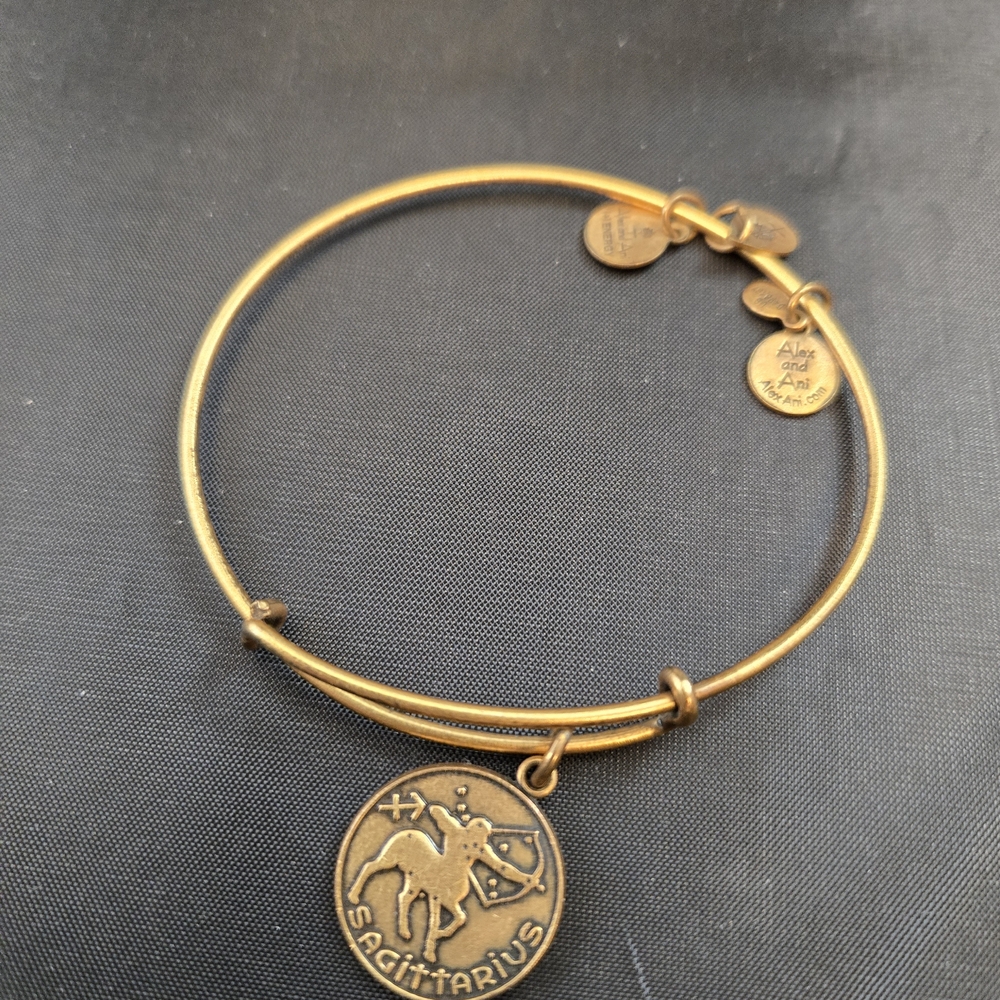 Alex and Ani Gold Tone Sagittarius Bracelet 2013